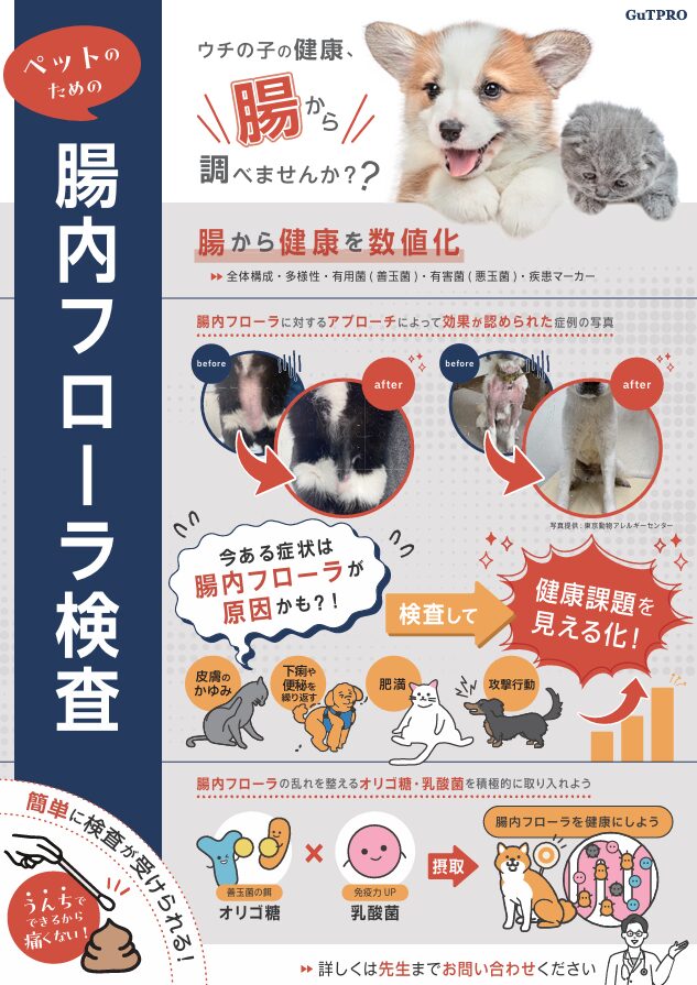 兵庫みなと動物病院の「犬・猫の腸活:自宅でできる腸ケアの話」画像