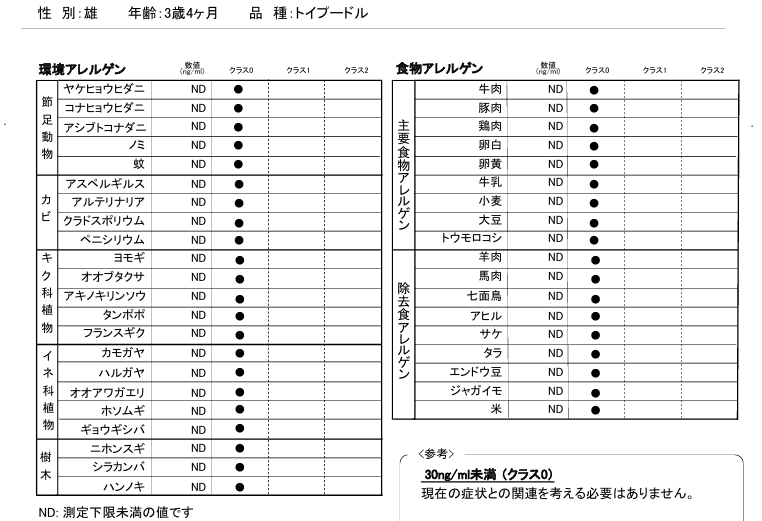 兵庫みなと動物病院の「「まぶたの腫れ」は食物アレルギーのサイン? — トイプードルで見つかった“遅発型”アレルギーの一例」画像