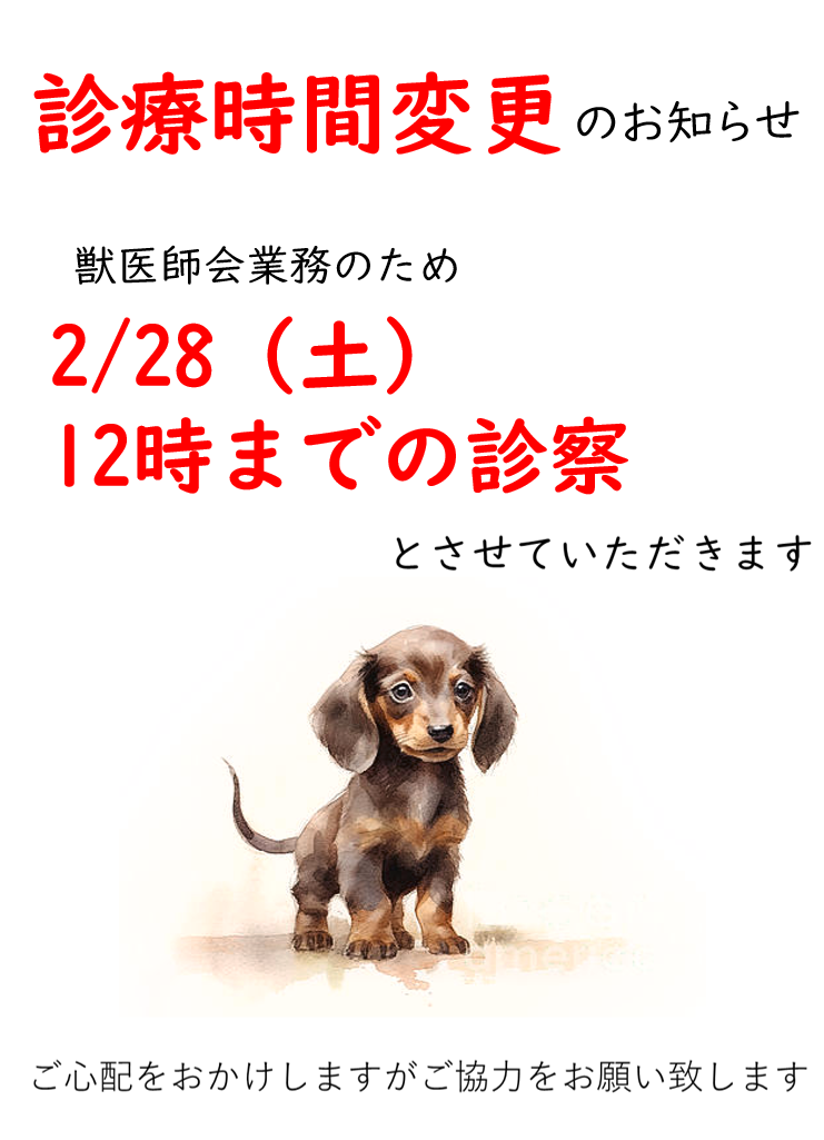 兵庫みなと動物病院の「【2月】臨時休診のおしらせ」画像