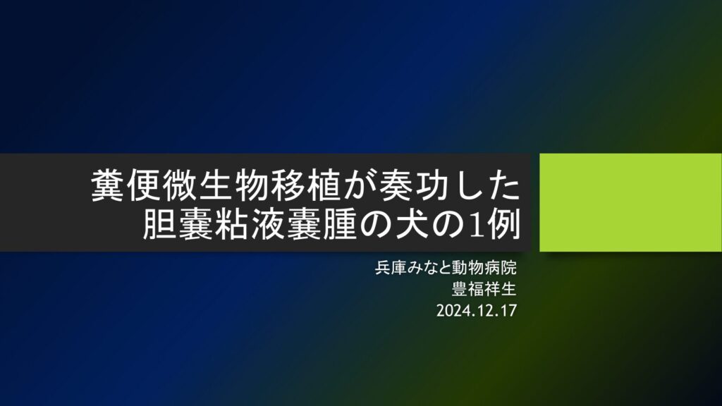 兵庫みなと動物病院の「胆嚢の病気が「腸」から変わる可能性 ― 糞便微生物移植(FMT)の症例より」画像