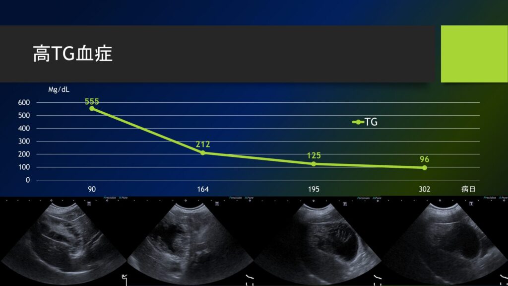 兵庫みなと動物病院の「胆嚢の病気が「腸」から変わる可能性 ― 糞便微生物移植(FMT)の症例より」画像